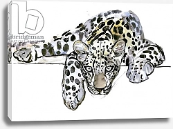 Постер Адлингтон Марк (совр) Arabian Leopard, 2008