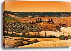 Постер Италия, Тоскана. Фермерские поля