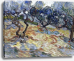 Постер Ван Гог Винсент (Vincent Van Gogh) Оливковые деревья на холме, 1889