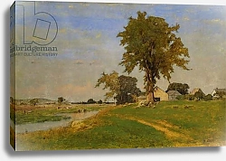 Постер Иннес Джордж Old Elm at Medfield, 1860