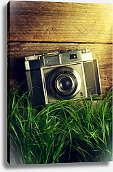 Постер Старая ретро камера в зеленой траве 