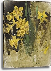 Постер Орнел Эдвард Daffodils 1