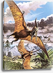 Постер Пэйн Роджер Pteranodon and Rhamphorhynchus