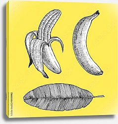 Постер Бананы на желтом фоне