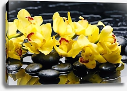 Постер Желтые орхидеи на камнях