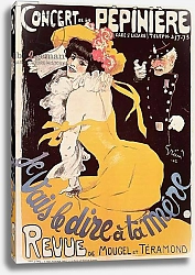 Постер Poster for the Concert de la Pepiniere, 1902