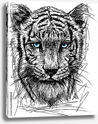 Постер Эскиз белого тигра
