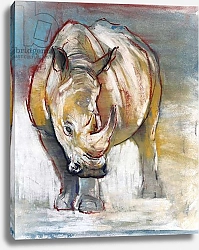 Постер Адлингтон Марк (совр) White Rhino, Ol Pejeta, 2018,