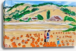 Постер Фокс Ричард (совр) Picking a Pumpkin, Nicasio, 2018,