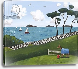 Постер Хардинг Софи (совр) Horse, Gate and Sailing Boats