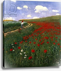 Постер Синьеи-Мерше Пал The Poppy Field