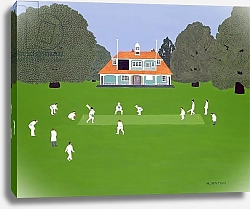 Постер Антохи Микаэла (совр) Cricket Match