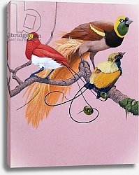 Постер Школа: Английская 20в. Birds of Paradise 2