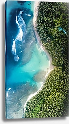 Постер Тропическое побережье