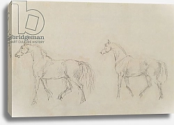 Постер Гилпин Соури (лошади) Two horses walking left