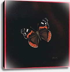 Постер Клейзер Амелия (совр) Red Admiral butterfly, 2001
