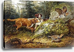 Постер Тайт Артур Flushed: Ruffed Grouse Shooting, 1857