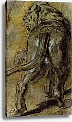 Постер Рубенс Петер (Pieter Paul Rubens) Львица