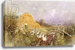 Постер Ллойд Томас Driving Geese, Early Evening, 1907
