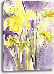 Постер Хатчинс Клаудия Daffodils, 2004