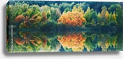 Постер Осенний пейзаж с отражением деревьев в воде