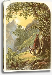 Постер Лидон Александр Robinson Crusoe takes a survey of the island
