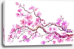 Постер Розовая ветка сакуры на белом фоне