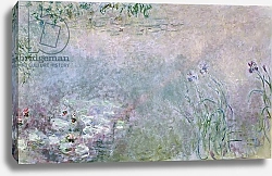 Постер Моне Клод (Claude Monet) Waterlilies, c.1910