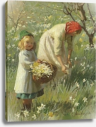 Постер Харви Харольд Весна в саду, нарциссы