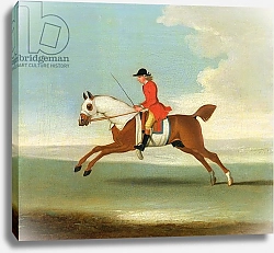 Постер Сеймур Джеймс Galloping Racehorse and mounted Jockey in Red