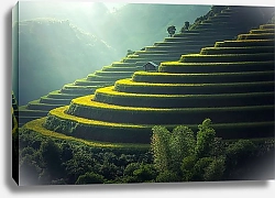 Постер Рисовые терассы Вьетнама