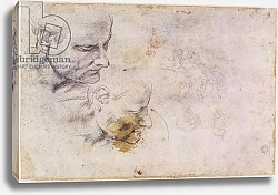 Постер Микеланджело (Michelangelo Buonarroti) W.60 Sketch of a male head, in two positions