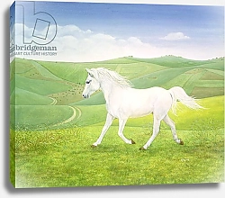 Постер Дитц (совр) The Landscape Horse