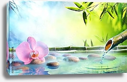 Постер Орхидея в японском фонтане с камнями и бамбуком
