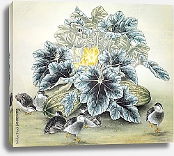 Постер Куста кабачков и птички