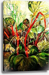 Постер Шекспир Иокаста (совр) Flowering Rhubarb