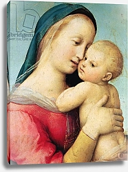 Постер Рафаэль (Raphael Santi) Detail of the 'Tempi' Madonna, 1508