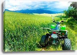 Постер Зелёный квадроцикл в летнем поле