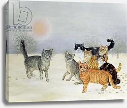 Постер Дитц (совр) Winter-Cats