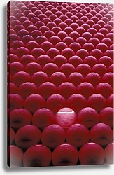 Постер Pink tennis balls, Italy