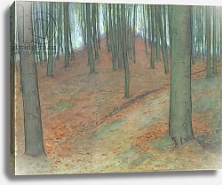 Постер Мондриан Пит Wood with Beech Trees, c.1899