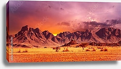 Постер Пустыня Намиб