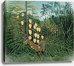 Постер Руссо Анри (Henri Rousseau) В тропическом лесу. Бой тигра с быком