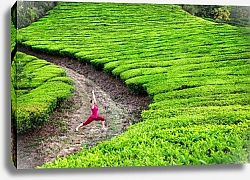 Постер Йога на чайных плантациях