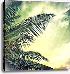 Постер Пальмовые листья 2