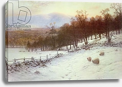 Постер Фаркарсон Джозеф Snow Covered Fields with Sheep