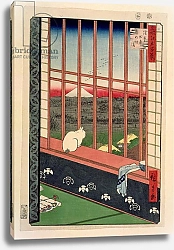 Постер Утагава Хирошиге (яп) Asakusa Rice Fields During the Festival of the Cock, c.1857