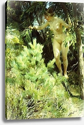 Постер Цорн Андерс Wood-Sprite, 1892