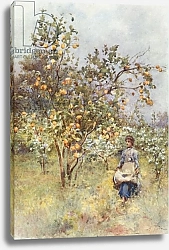 Постер Пиза Альберто Lemon-Trees: Spring