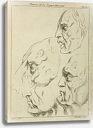 Постер Рубенс Петер (Pieter Paul Rubens) Four faces–three human, one horse– in profile